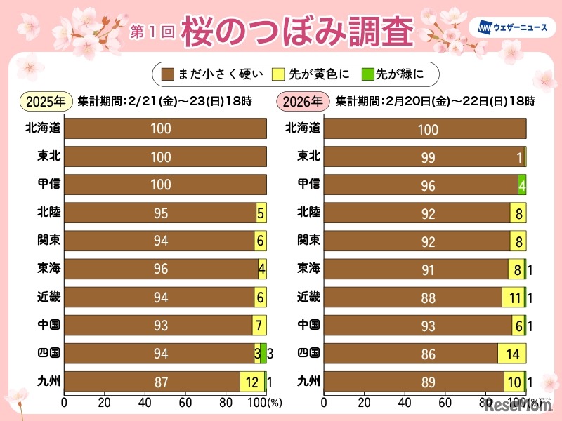 桜のつぼみ調査