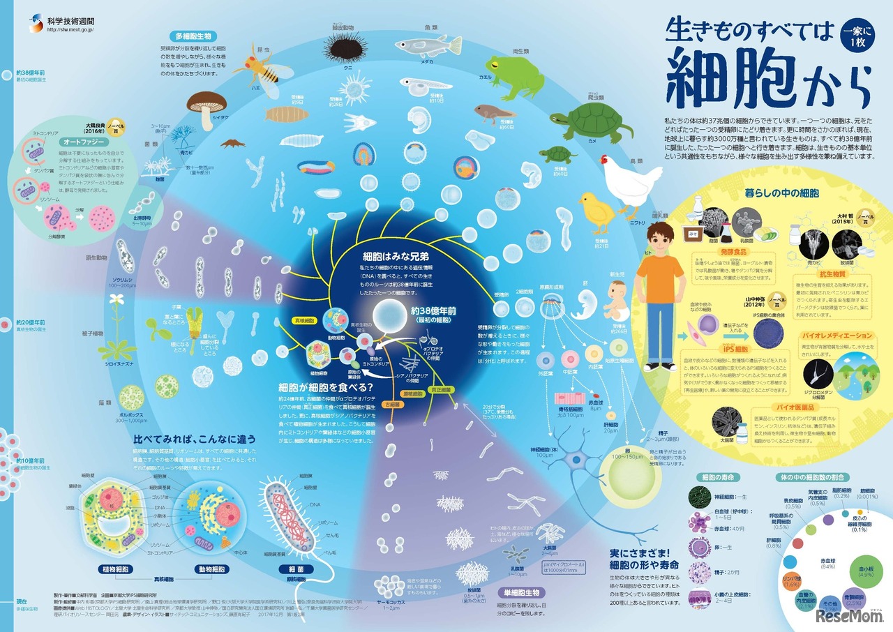 「一家に1枚　生きものすべては細胞から」