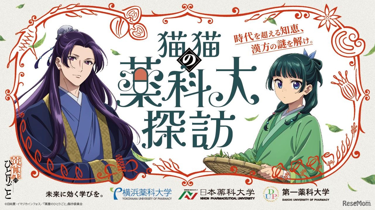 猫猫（マオマオ）の薬科大探訪