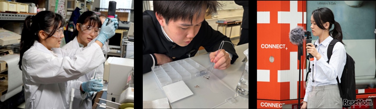 参加者は、ファッション、食、音、デザイン、ワカメ、昆虫、酵素などそれぞれの「好き」を追求