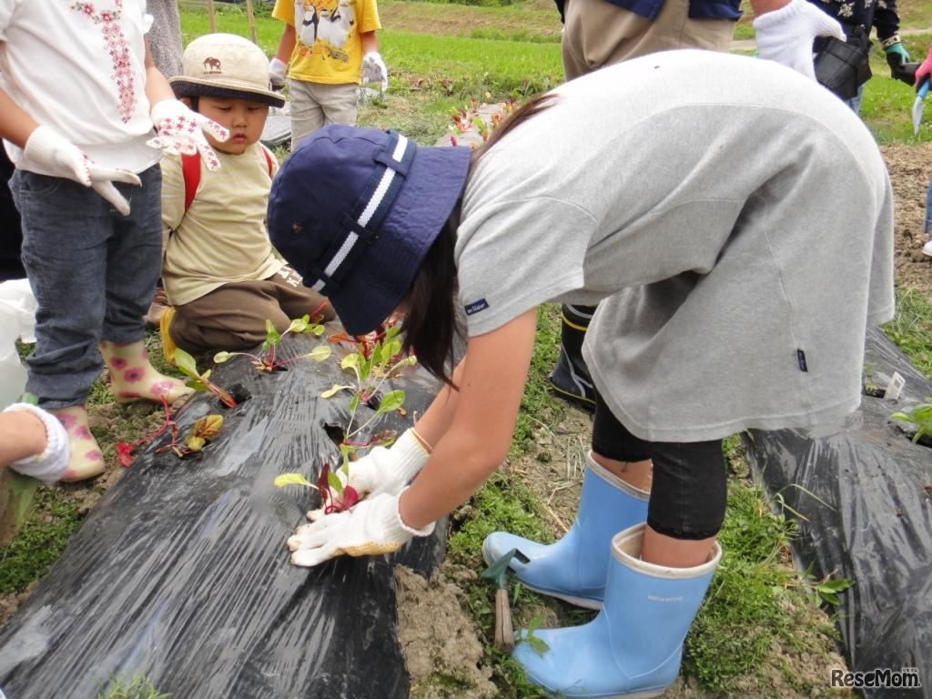 スマイルファームツアー