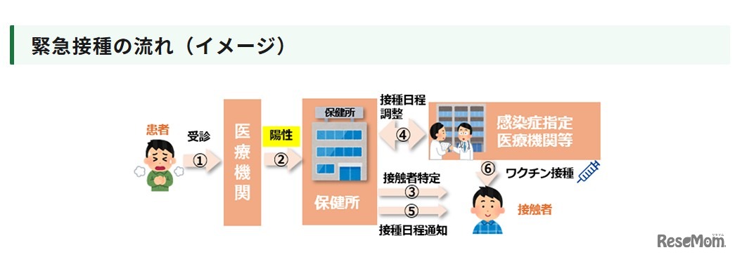 緊急接種の流れ（イメージ）