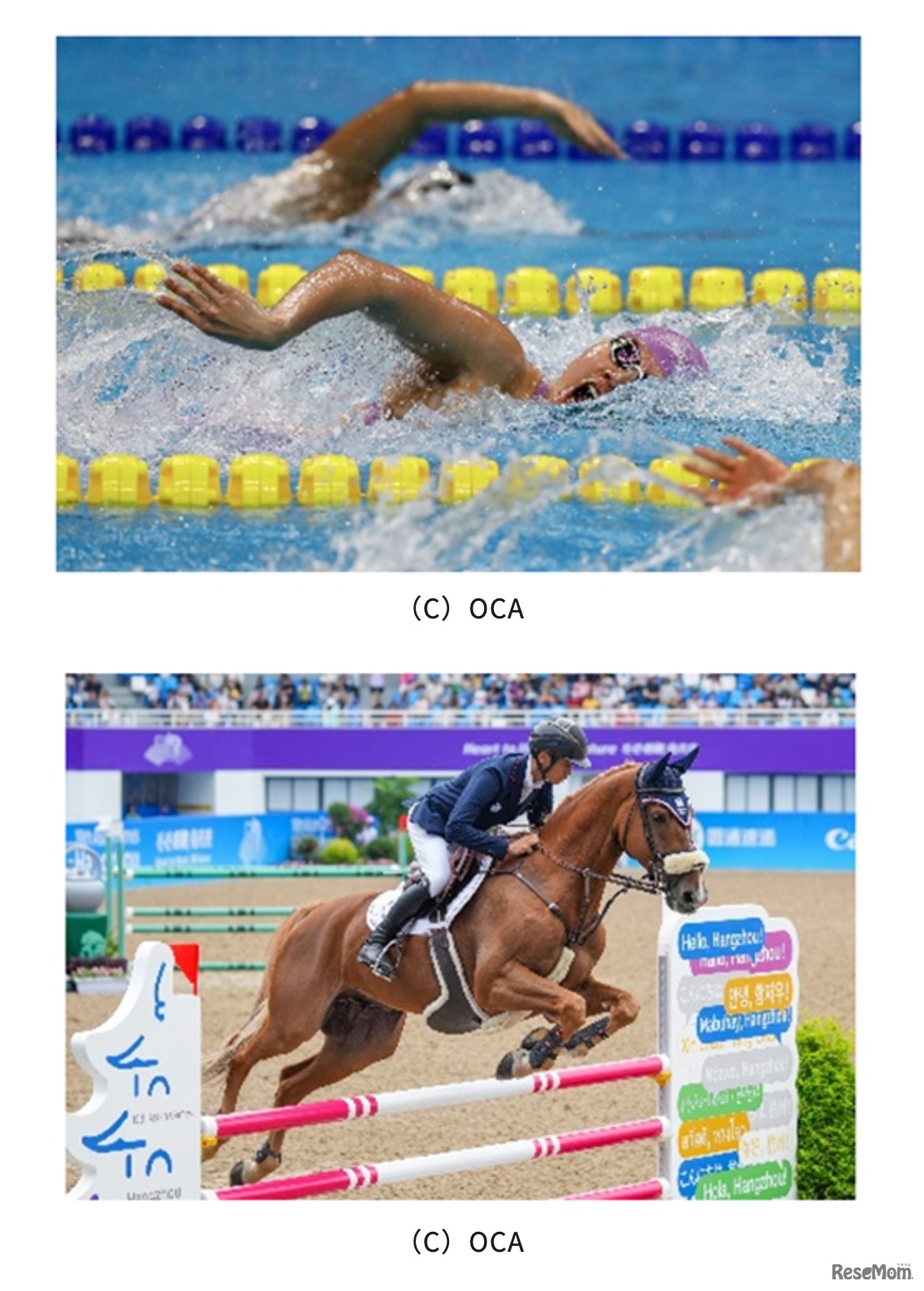 都内で開催される水泳と馬術 (c) OCA