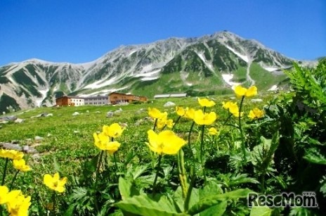 夏の室堂（花の見頃は年により異る）