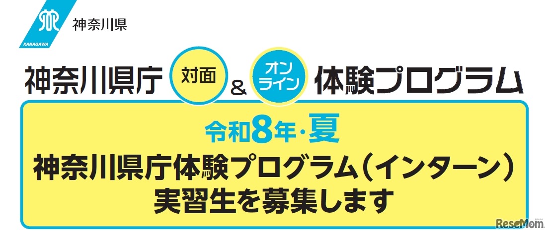 令和8年・夏 神奈川県庁体験プログラム（インターン）