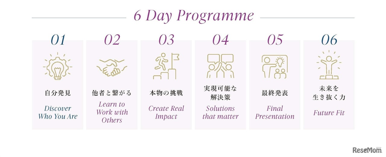 6 Day Programme