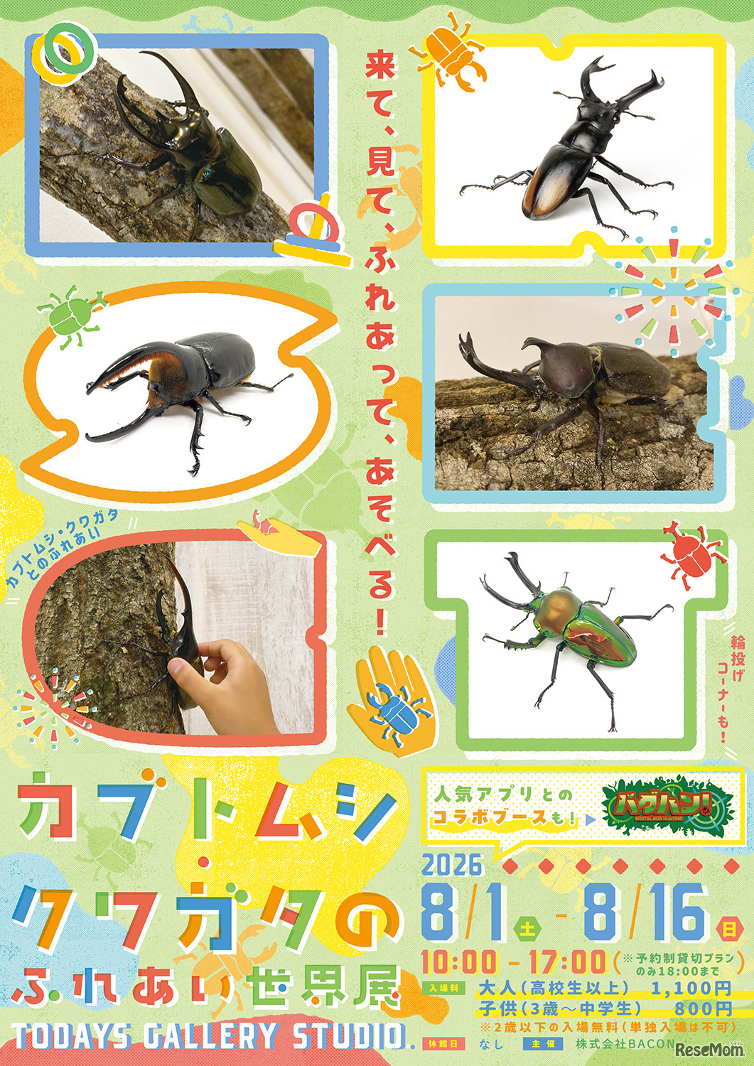 カブトムシ・クワガタのふれあい世界展 2026