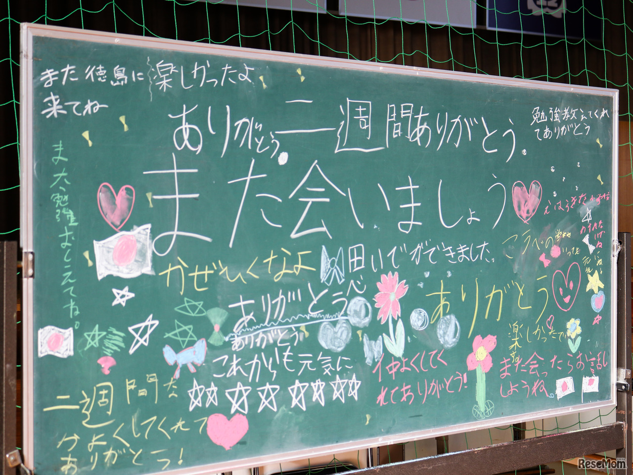 2週間で新しいお友達に