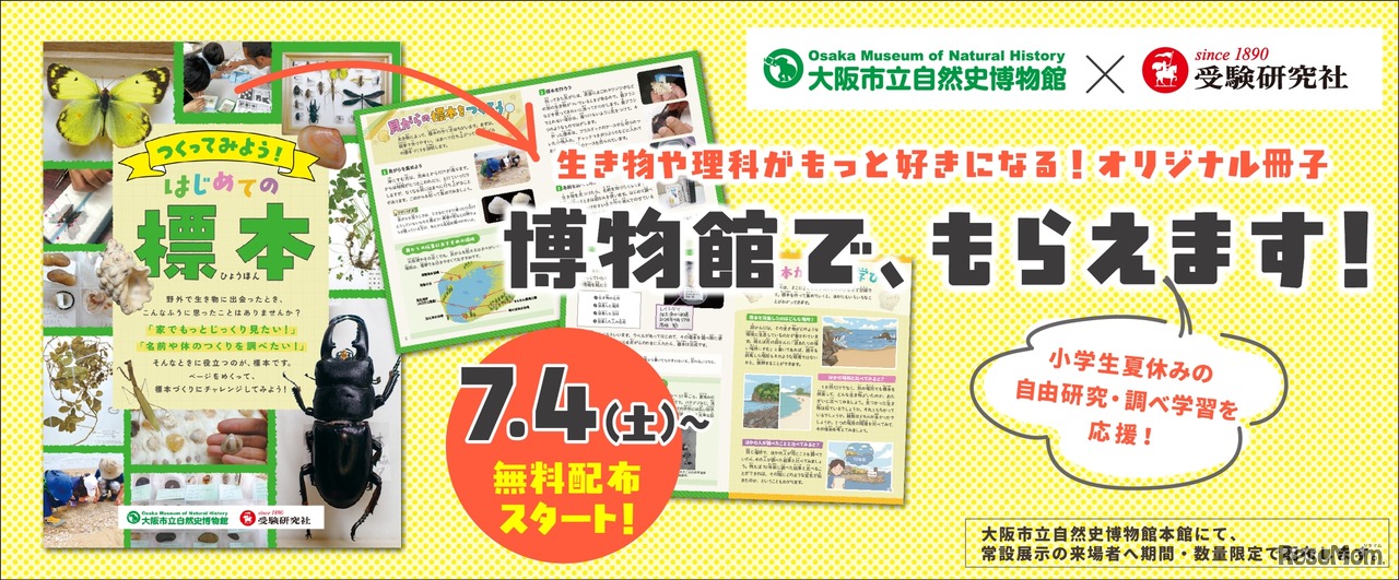 夏休みの自由研究・調べ学習を応援「つくってみよう！はじめての標本」無料冊子を配布