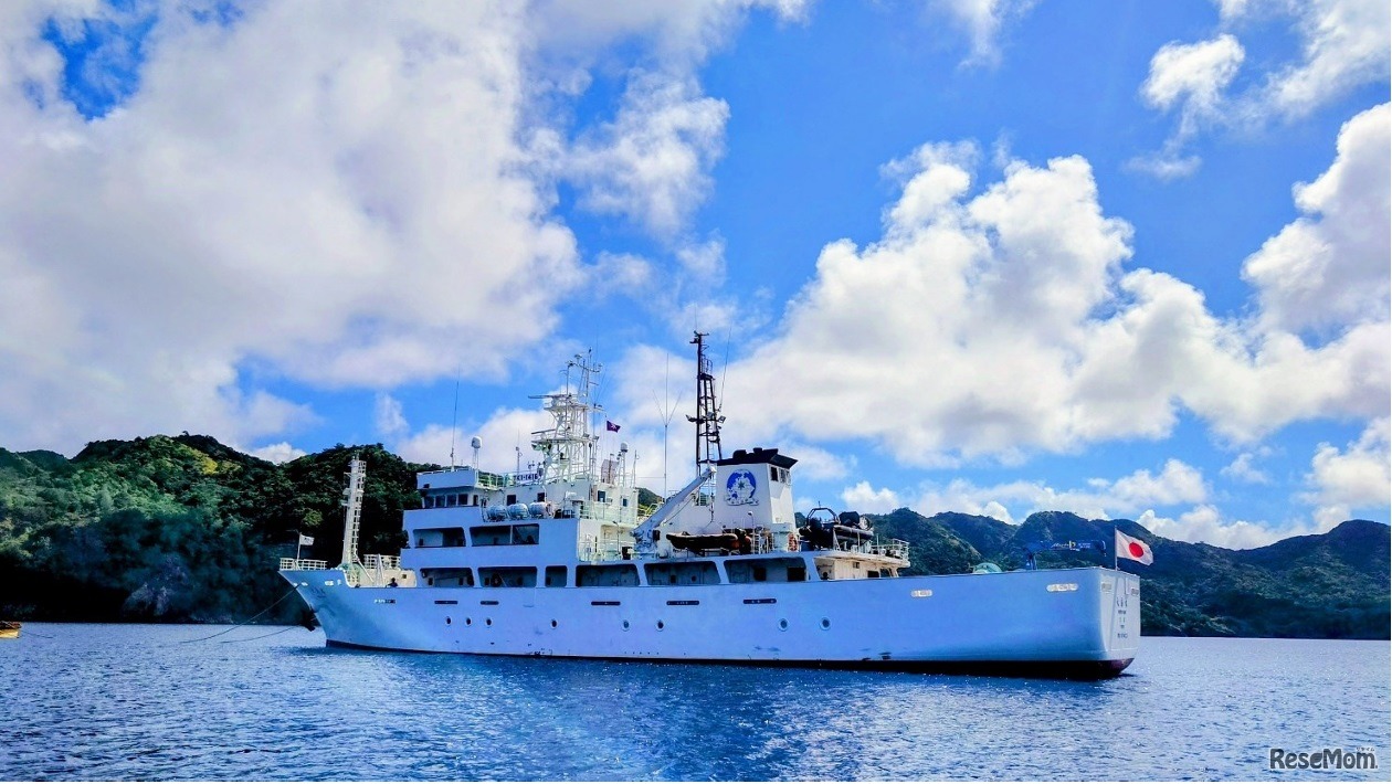 大島丸体験航海