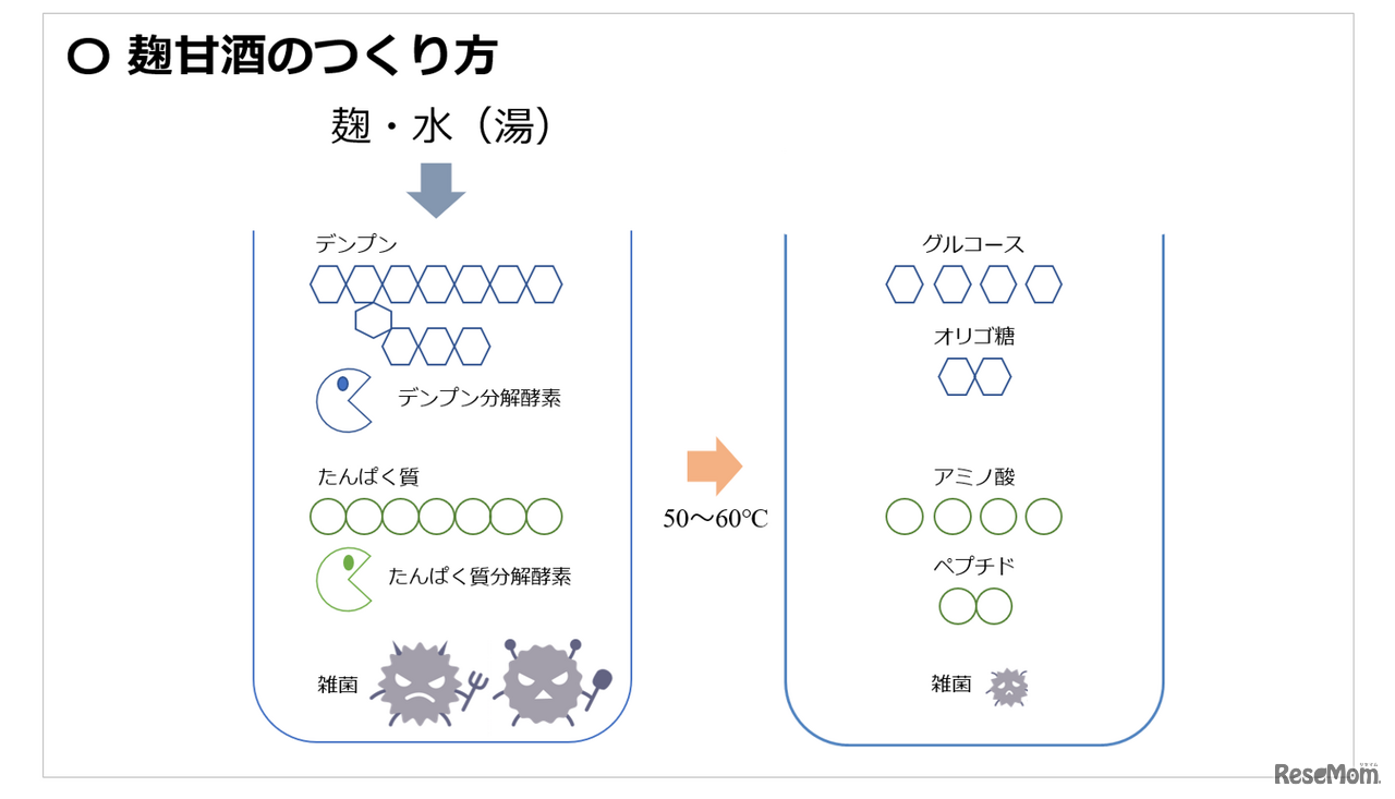 麹甘酒のつくり方（「第11回日本微生物学連盟フォーラム」八海醸造 倉橋敦さんの発表資料より）