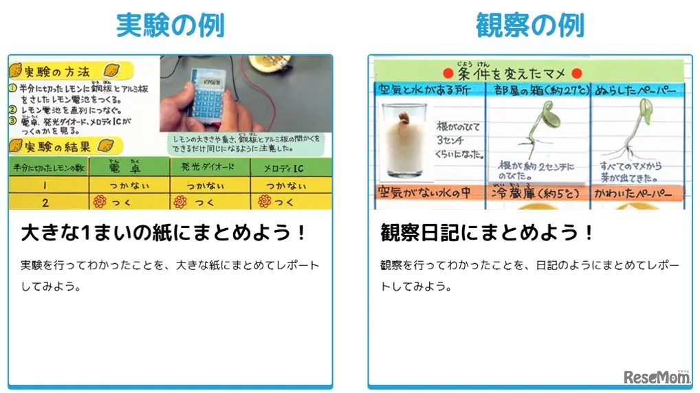 まとめ方のコツ（実験の例、観察の例）