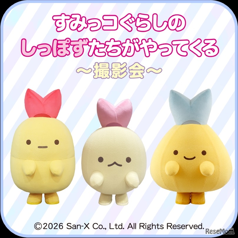 すみっこぐらしのしっぽずたちがやってくる～撮影会～