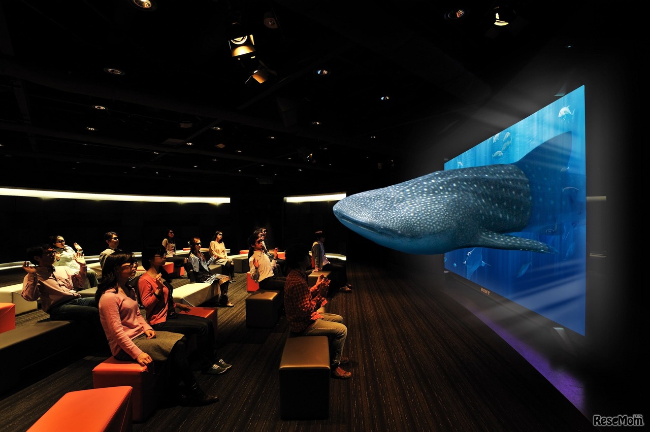 3D Okinawa Churaumi Aquarium