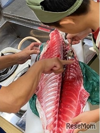 親子で参加できる料理教室（豊洲市場）