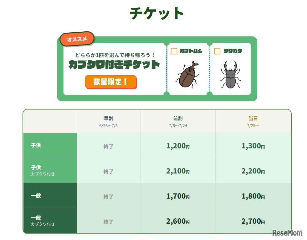 チケット