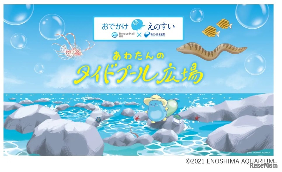 出張水族館「おでかけえのすい」(c)ENOSHIMA AQUARIUM
