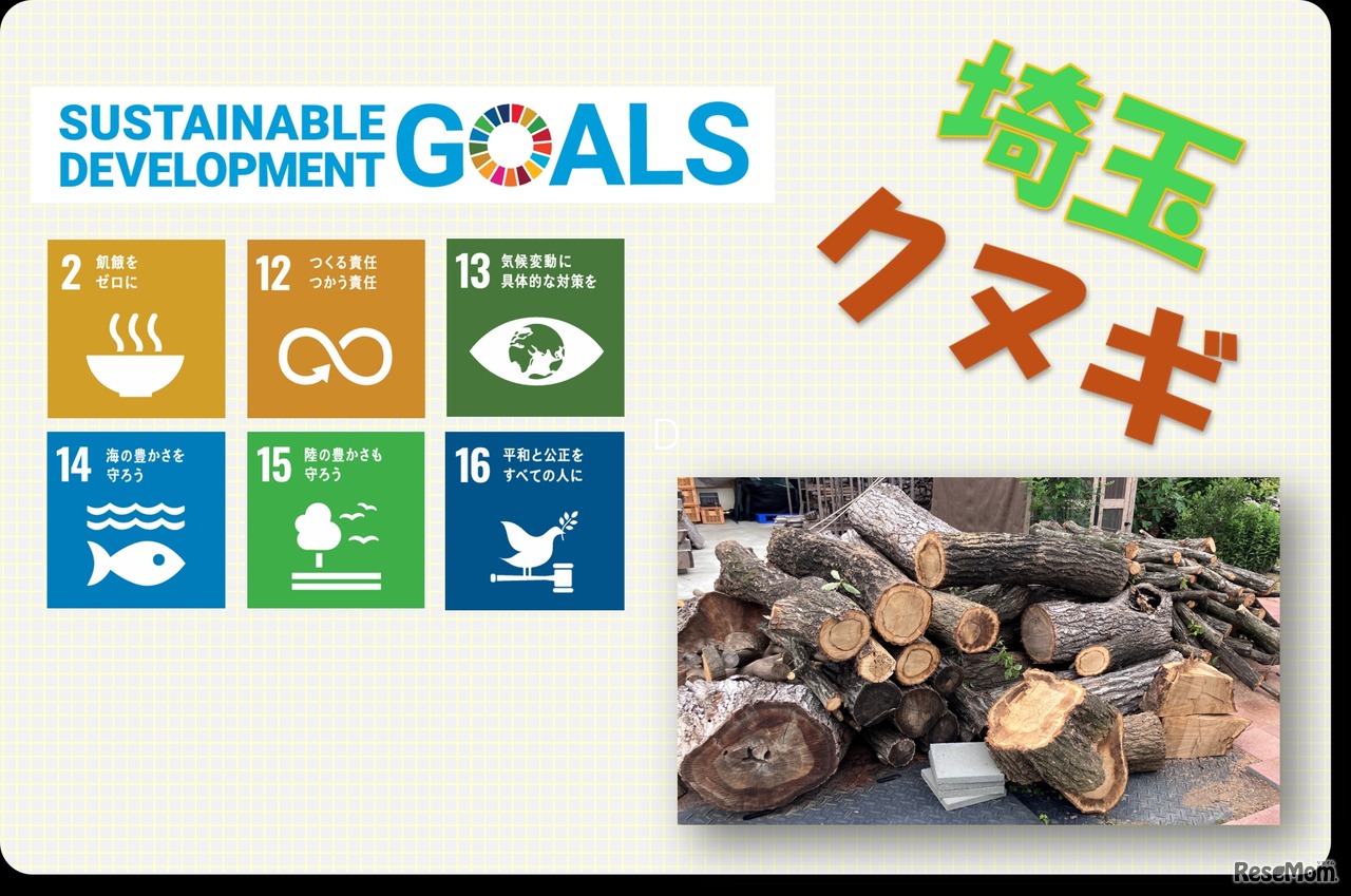 SDGsパネル展示