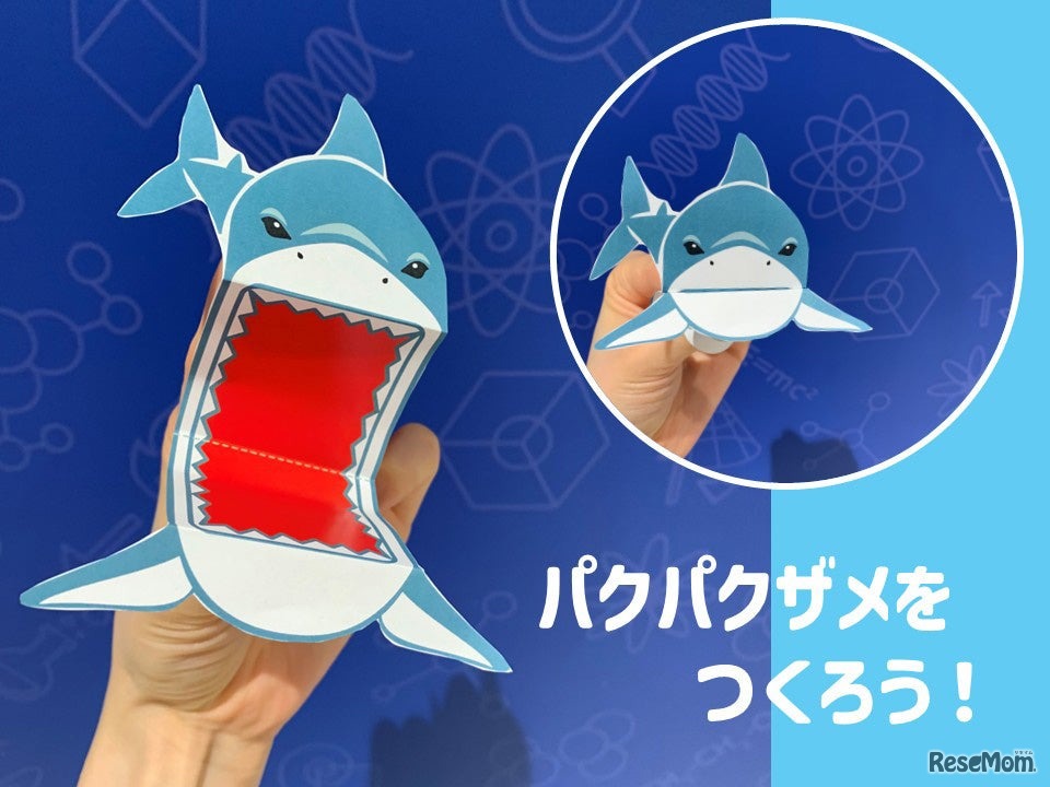 テーブルサイエンス パクパクザメをつくろう！