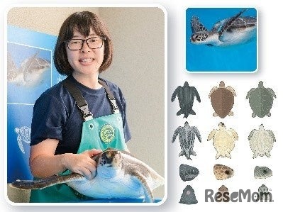 講演会 イラストで学ぼう！海の生きもののカタチ