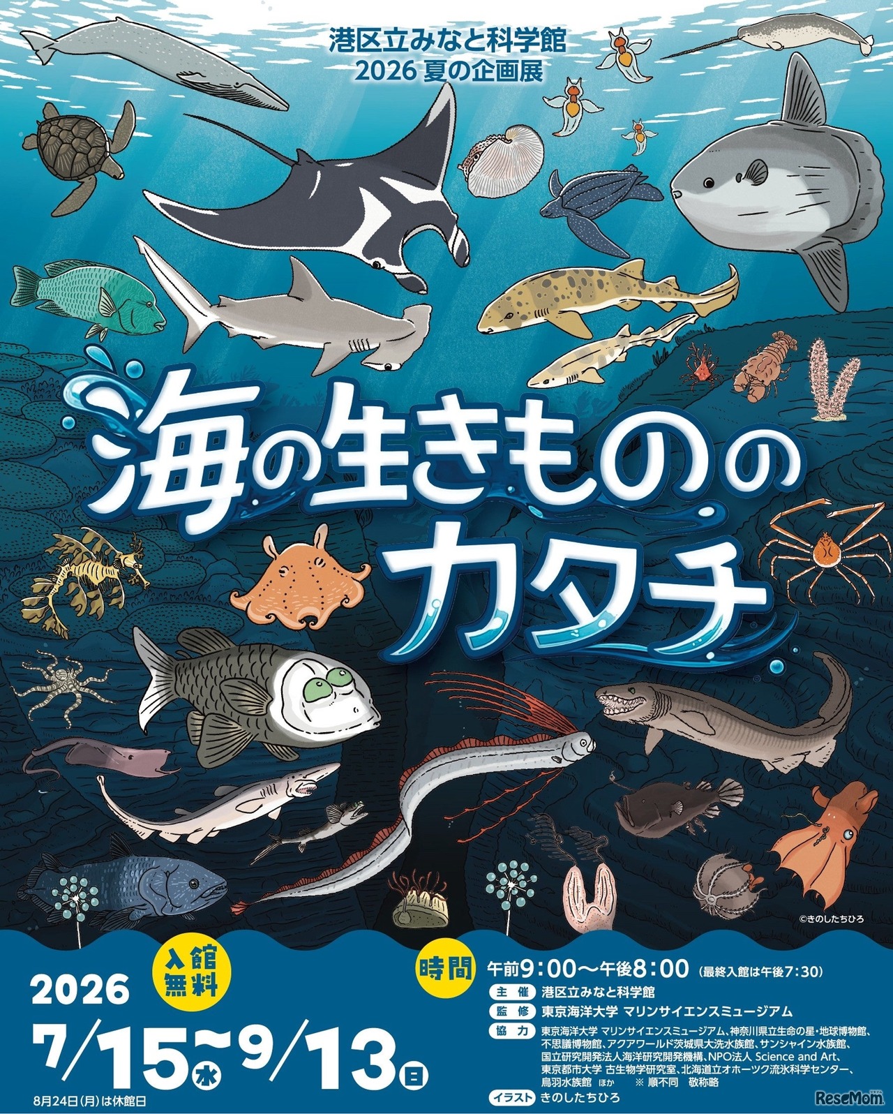 2026 夏の企画展 海の生きもののカタチ
