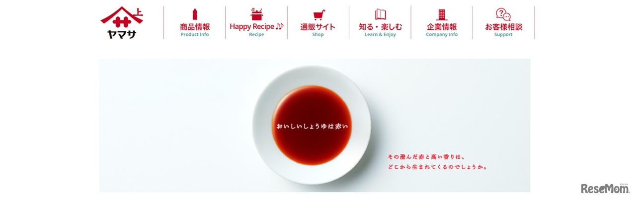 ヤマサ醤油