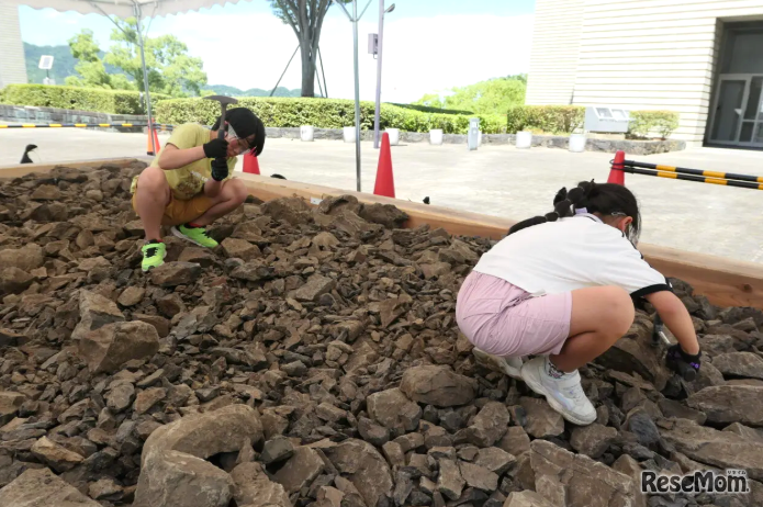 化石発掘体験のようす