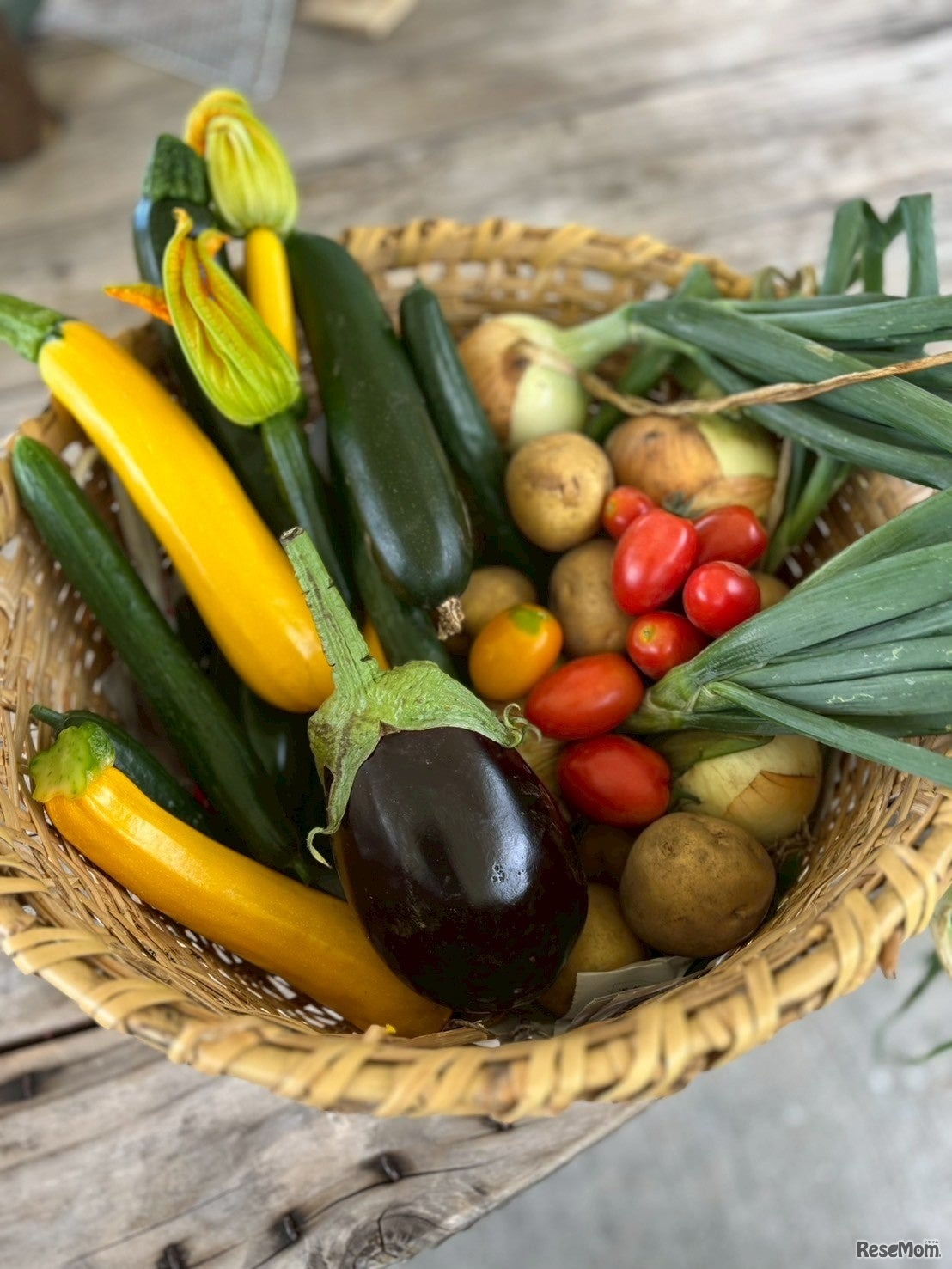 収穫した野菜