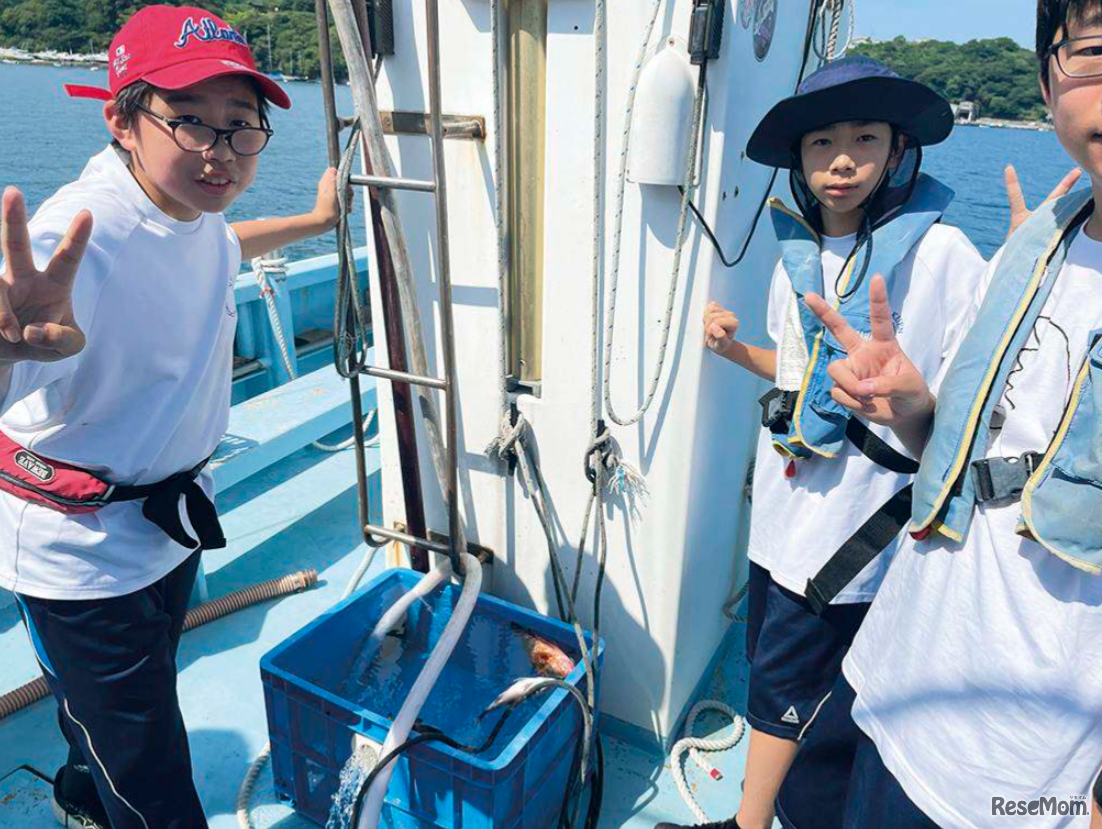漁業体験（夏休み2泊3日・沼津）