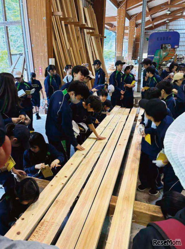 奥多摩での森林学習