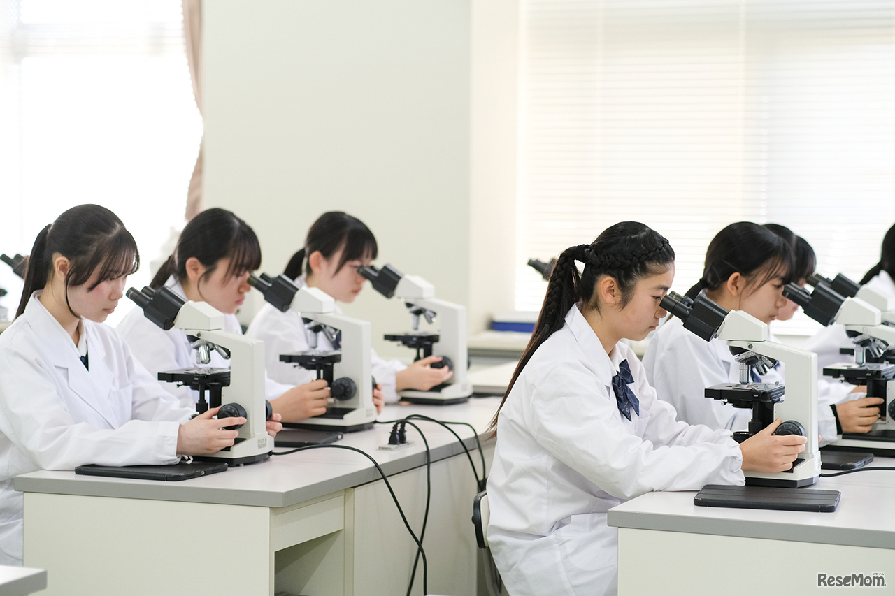 自然科学分野の探究学習を行う