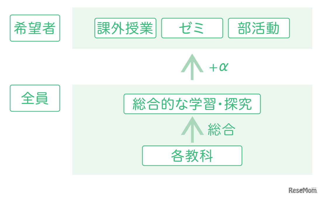 個々の卓越性を伸ばすプログラムの流れ