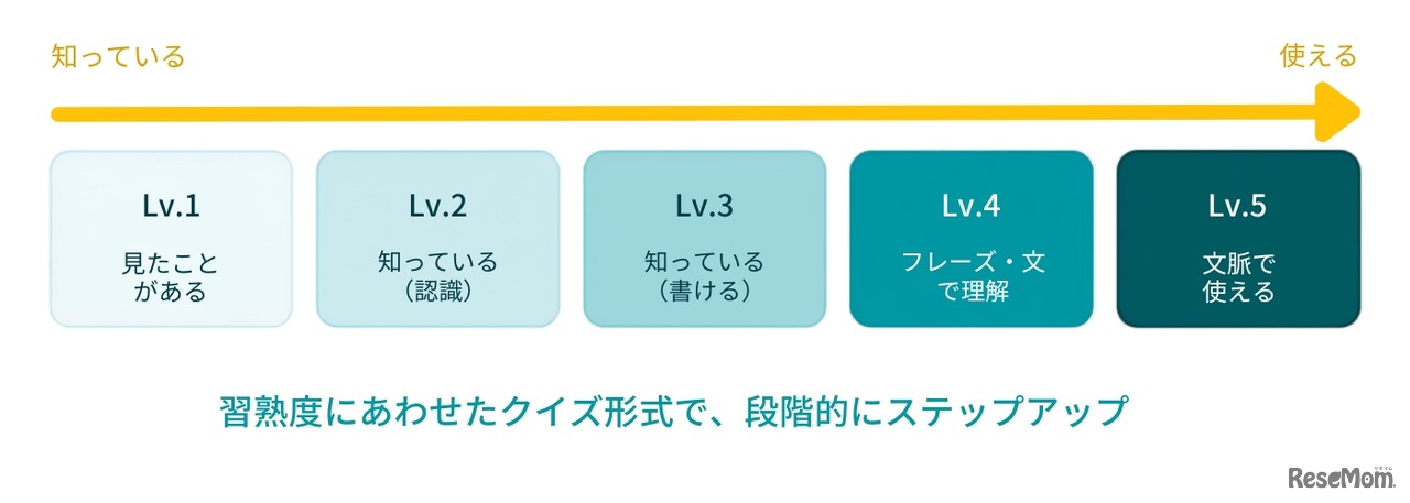 「覚える」から「使える」へ、段階的にステップアップ
