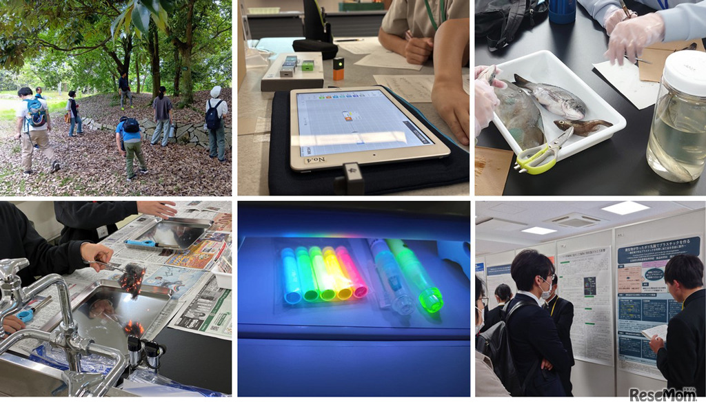広島大学「次世代科学技術チャレンジプログラム」