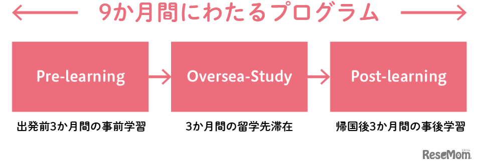充実した海外研修や留学プログラムによるグローバル教育