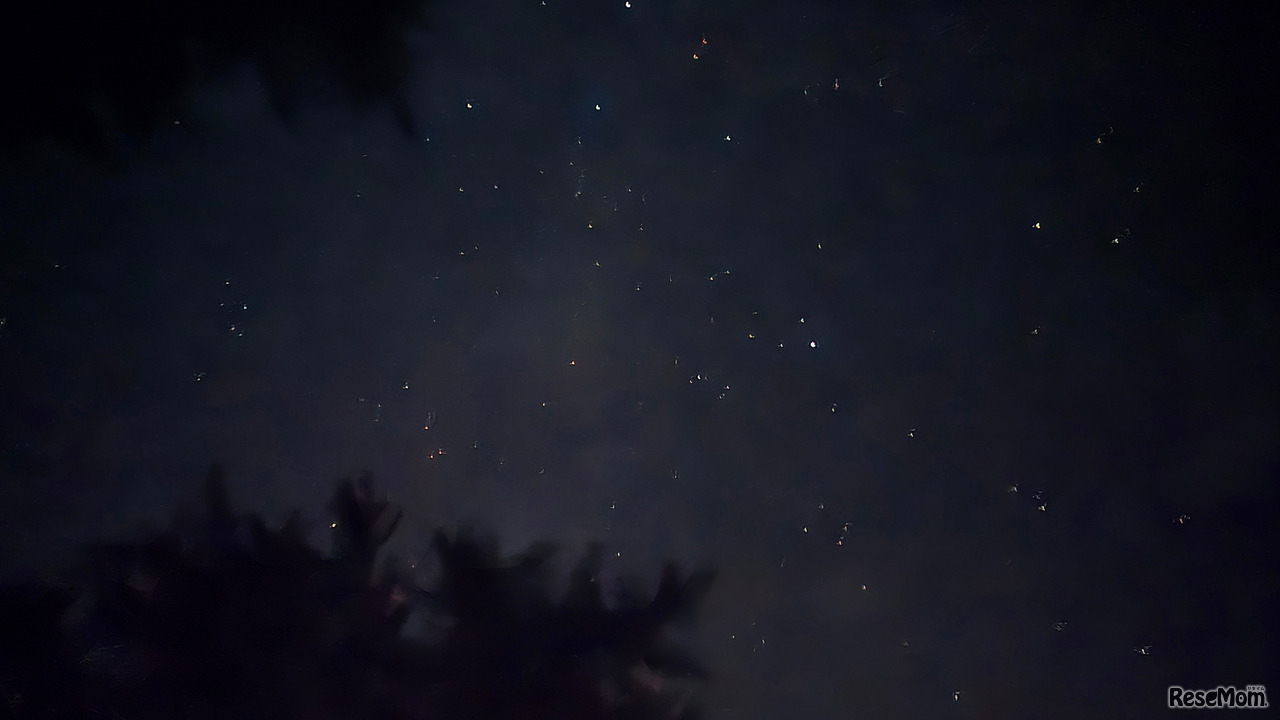 寝転がって見上げた星空