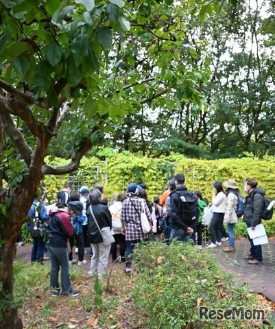 過去のイベントのようす
