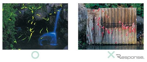 一般部門金賞「残したい水辺の光景」平田晃一さん（岡山県）