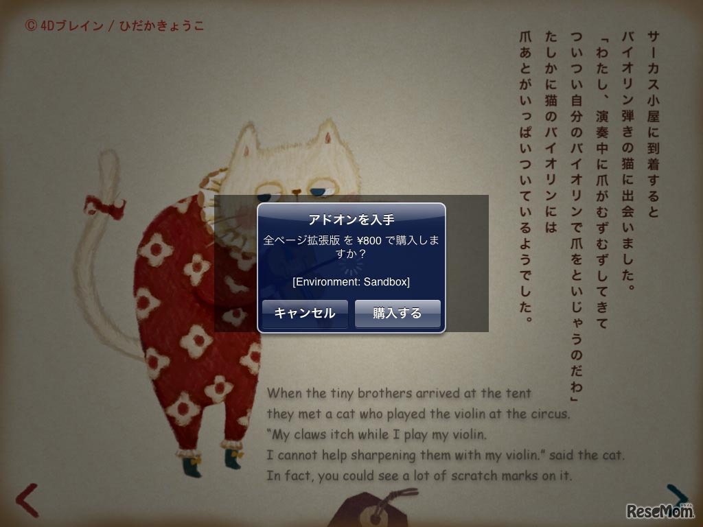 マルコと小さな兄弟