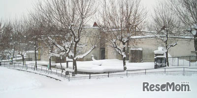 カバやキリンのいる総合動物舎