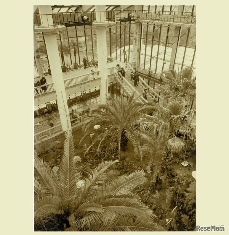 オープン当時の熱帯鳥温室