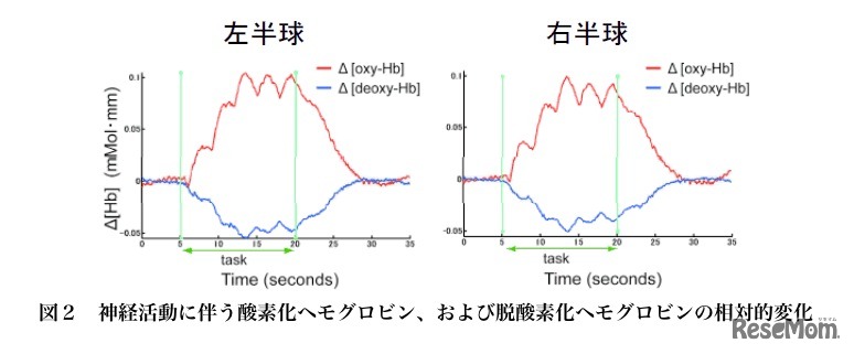 神経活動に伴う酸素化ヘモグロビン、および脱酸素化ヘモグロビンの相対的変化