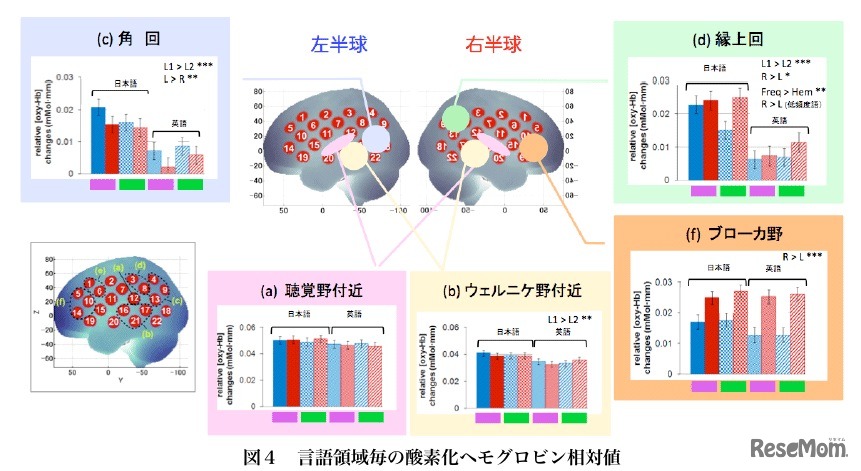 言語領域毎の酸素化ヘモグロビン相対値