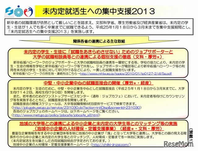 未内定就活生への集中支援2013