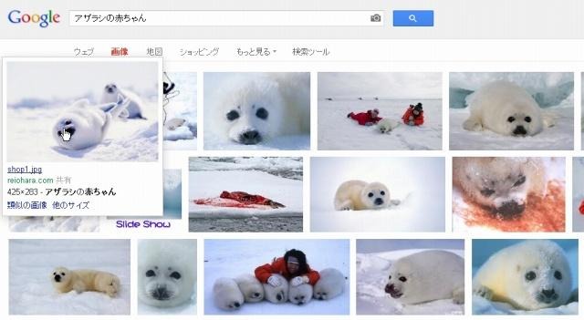 従来の画像検索のデザイン