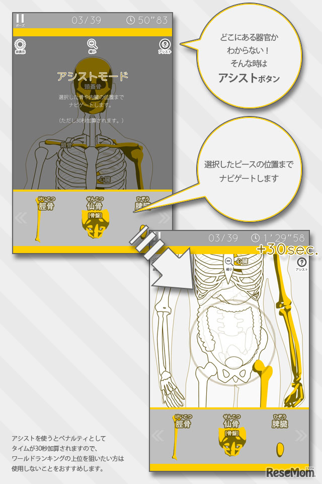 あそんでまなべる人体模型パズル
