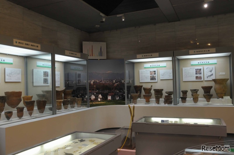 東京都埋蔵文化財センター（館内）