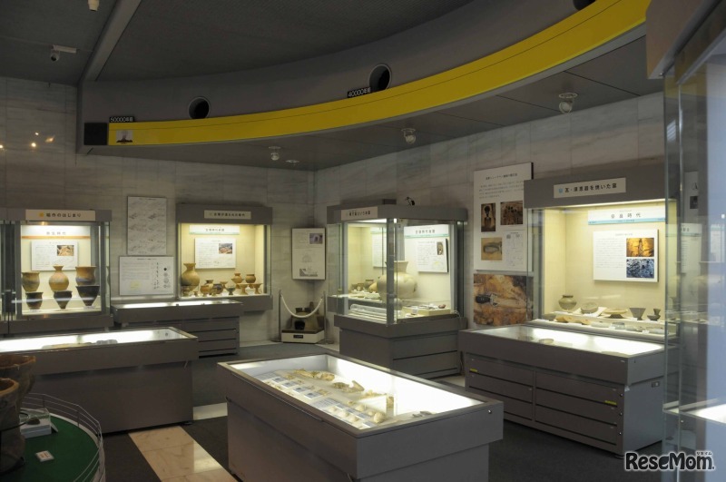 東京都埋蔵文化財センター（館内）