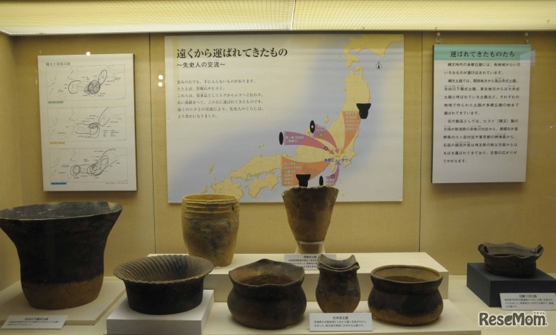 東京都埋蔵文化財センター（館内）