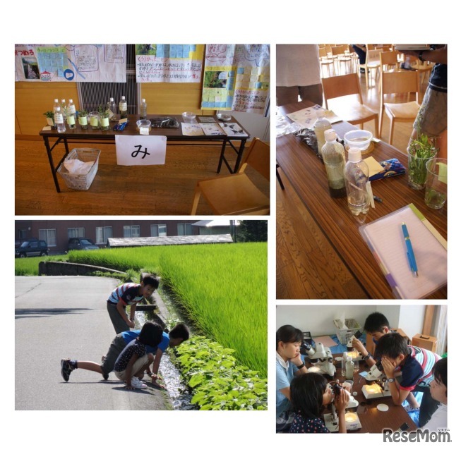 科学の泉-子ども夢教室（昨年の様子）